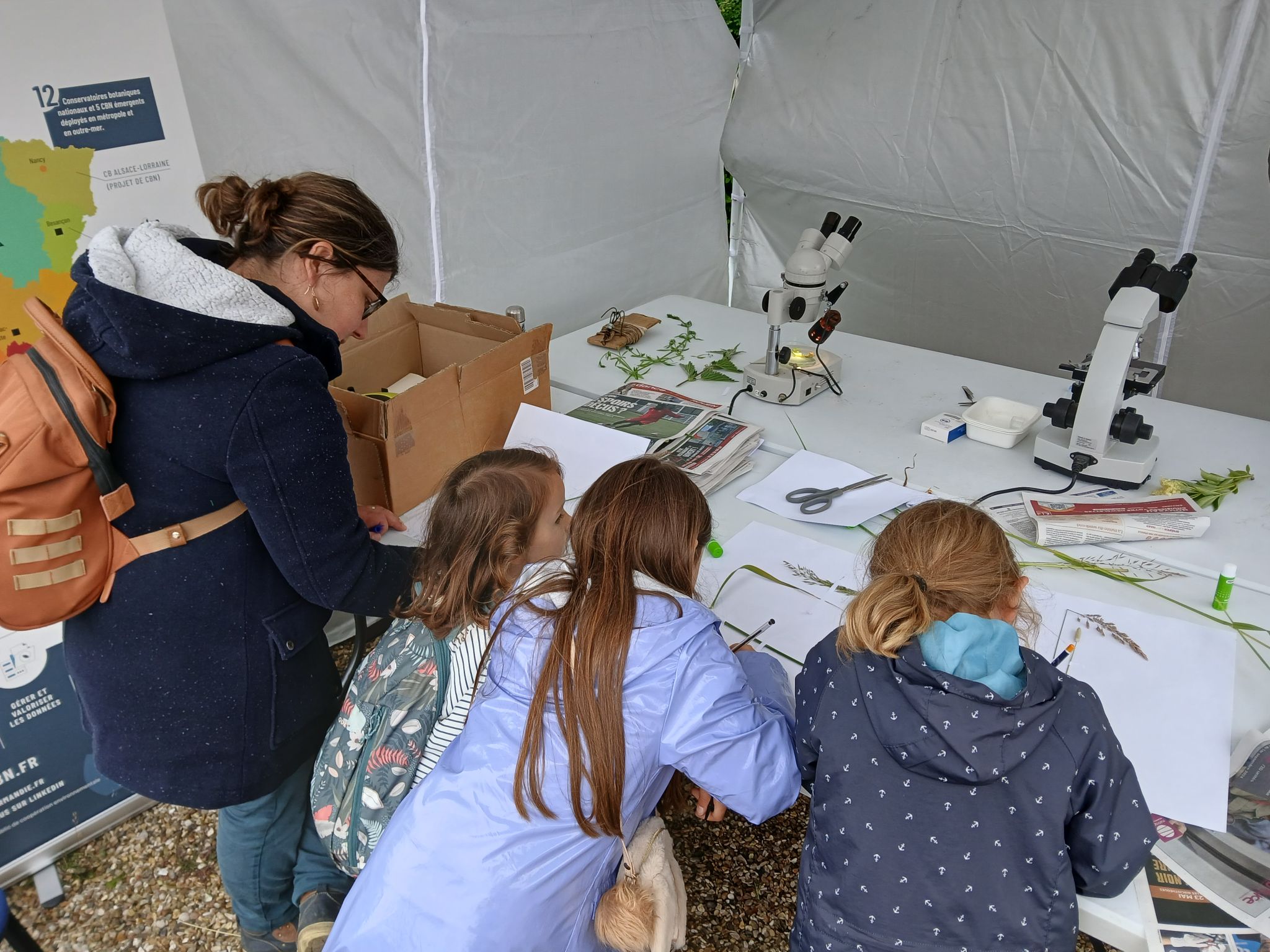 ateliers de sensibilisation à la flore sauvage de Normandie