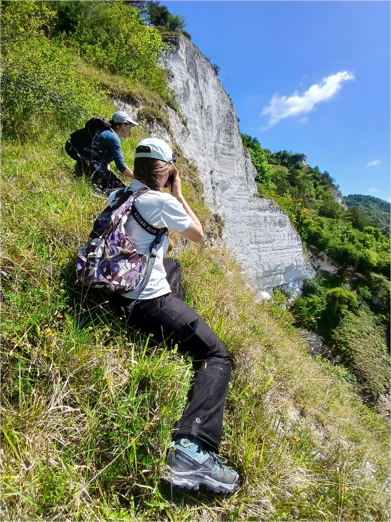 Suivi Biscutelle de Neustrie