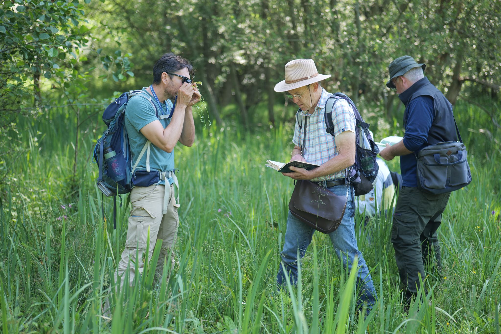 « En juin, nos collaborateurs bénévoles ont exploré la Normandie : orchidées rares, inventaires botaniques, formations et sorties nature. Rejoignez notre réseau ! »