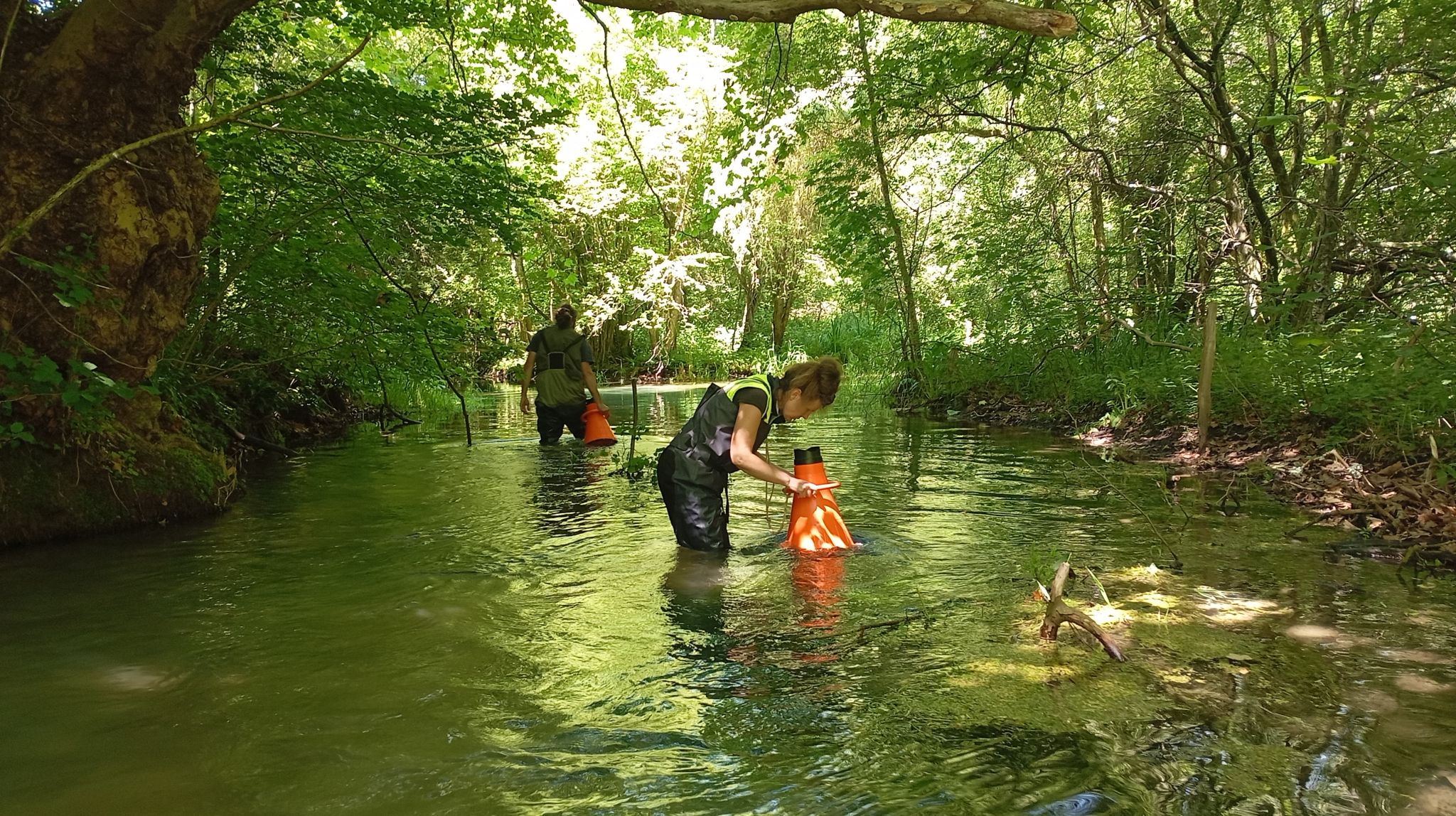 terrain avec le laboratoire d’hydrobiologie de l'OFB