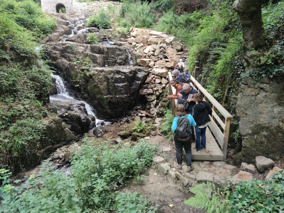 sortie fougères Manche