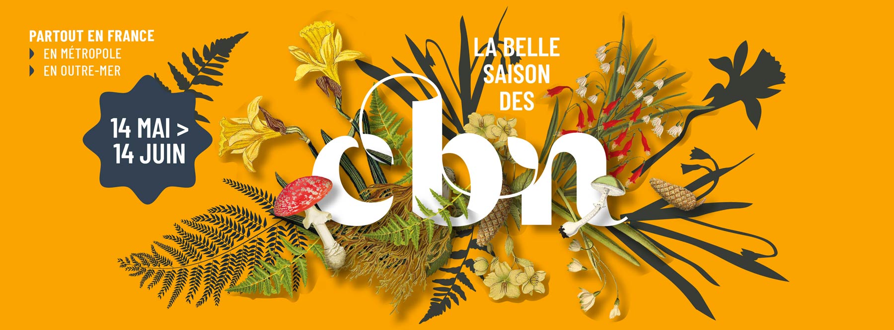 La belle saison des CBN