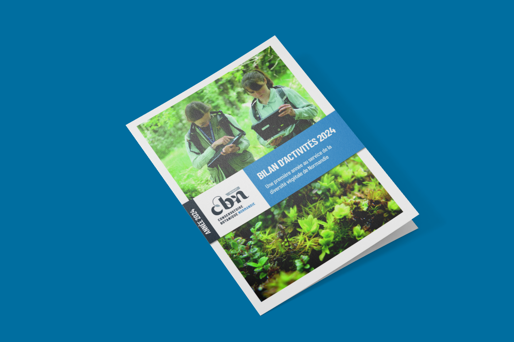 Bilan d'activités 2024