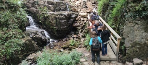 sortie fougères Manche