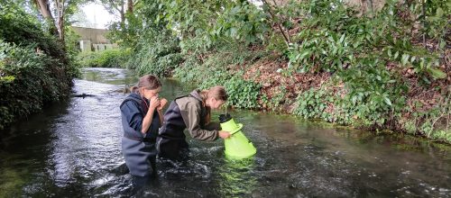 Prospections macrophytes - Tiffen Legeard
