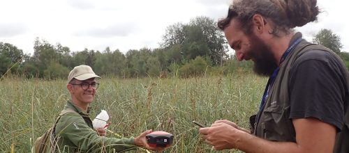 Suivi des milieux tourbeux