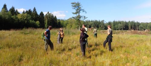 VERS UNE TYPOLOGIE DES TOURBIÈRES NORMANDES