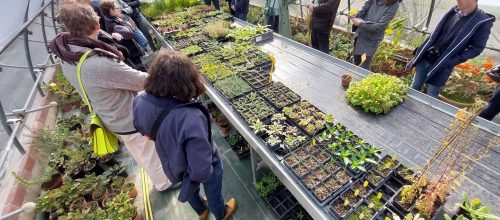 10 ans Végétal local