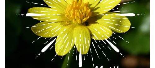 Voeux 2026 CBN Normandie