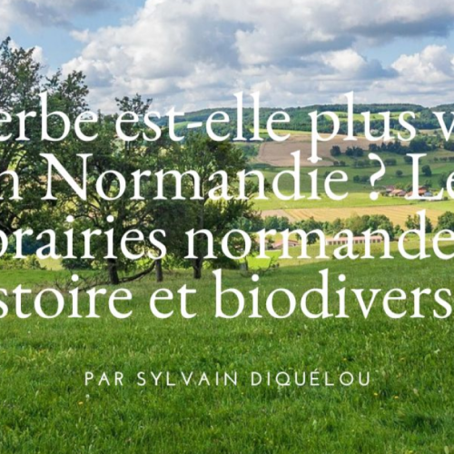 Conférence Institut