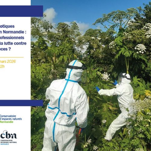 Webinaire EEE Normandie