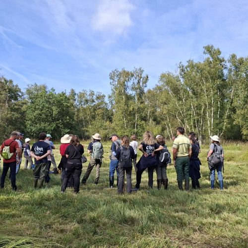 fête agrément Marais Vernier