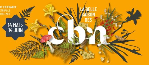 La belle saison des CBN