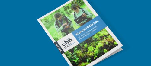 Bilan d'activités 2024