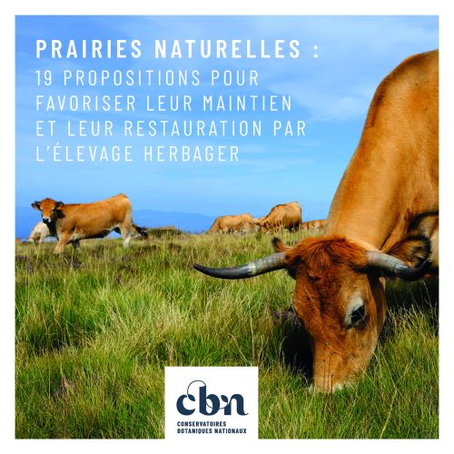 19 propositions prairies