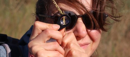 Amandine Lebourg - Thomas Bousquet