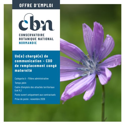 Offre communication CBN Normandie