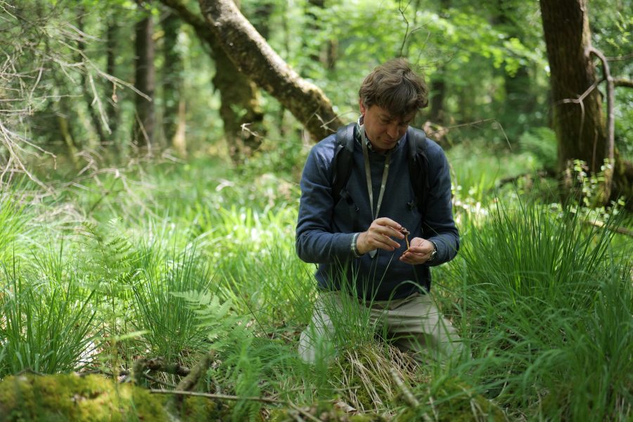 Botaniste sur le terrain - Clémence Henderyckx