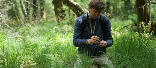 Eric Bastien - Botaniste-phytosociologue