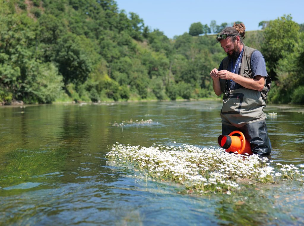 Suivi des macrophytes - Clémence Henderyckx
