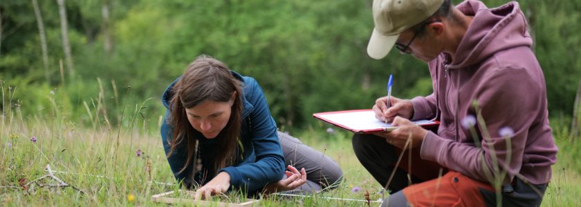 Suivi de quadrat - Clémence Henderyckx