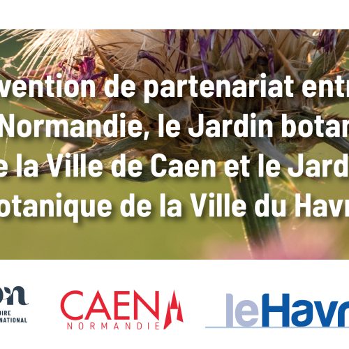 Visuel convention tripartite