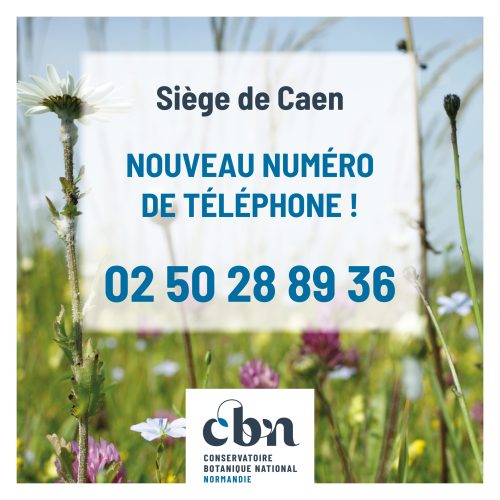 nouveau numéro siège Caen