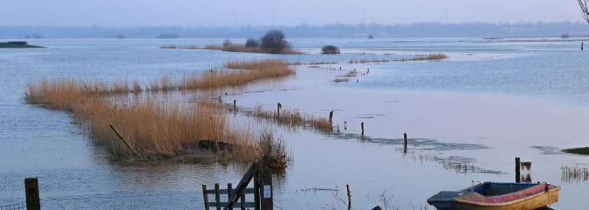Marais du Cotentin - Michel Provost
