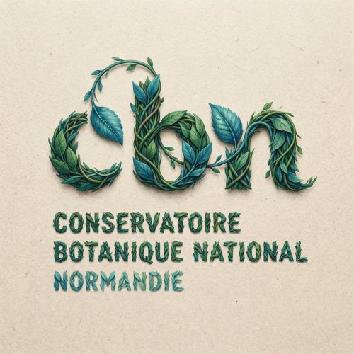 CBN Normandie Instagram